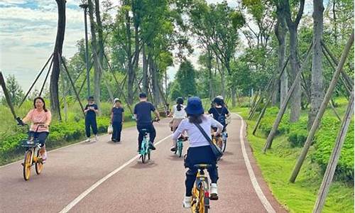 锦城绿道骑行路线_锦城绿道骑行路线图