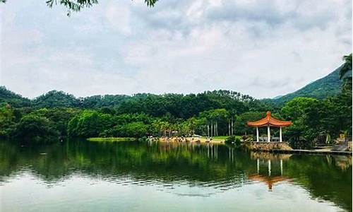 深圳仙湖植物园攻略一日游最佳路线_深圳仙