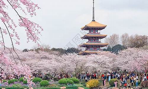 武汉春季旅游景点_武汉春季旅游景点有哪些