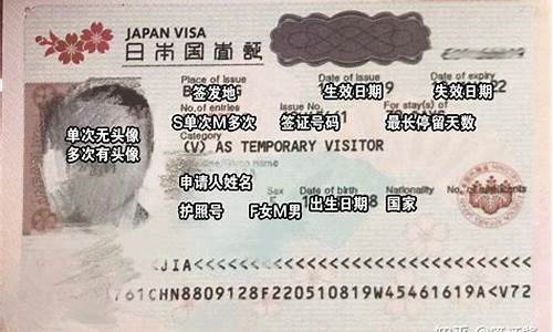 自由行去日本怎么办签证条件是什么样的_去日本个人旅游签证需要