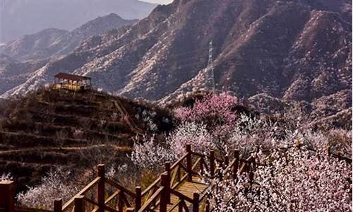 大岭沟猕猴桃谷风景区_大岭沟猕猴桃谷风景区攻略