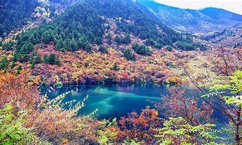 九寨沟在哪个省哪个市_九寨沟在哪个省哪个市哪个县哪个镇