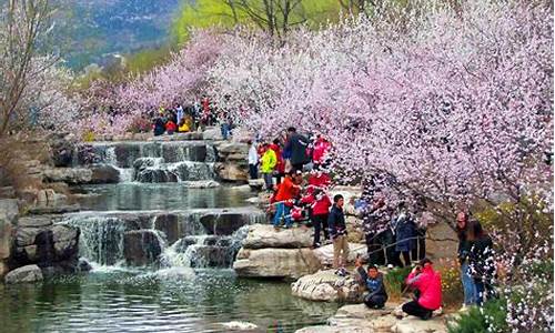 清明节适合去哪里旅游陕西呢_清明节适合去哪里旅游