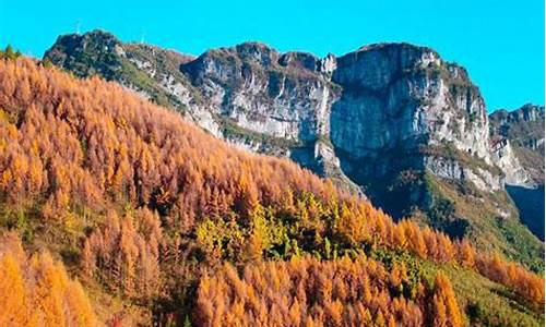 重庆秋季旅游攻略_重庆秋天旅游