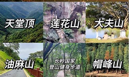 火炉山森林公园门票多少钱_火炉山森林公园门票多少钱一张